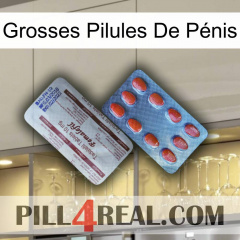 Grosses Pilules De Pénis 36
